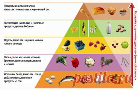 Пищевая пирамида