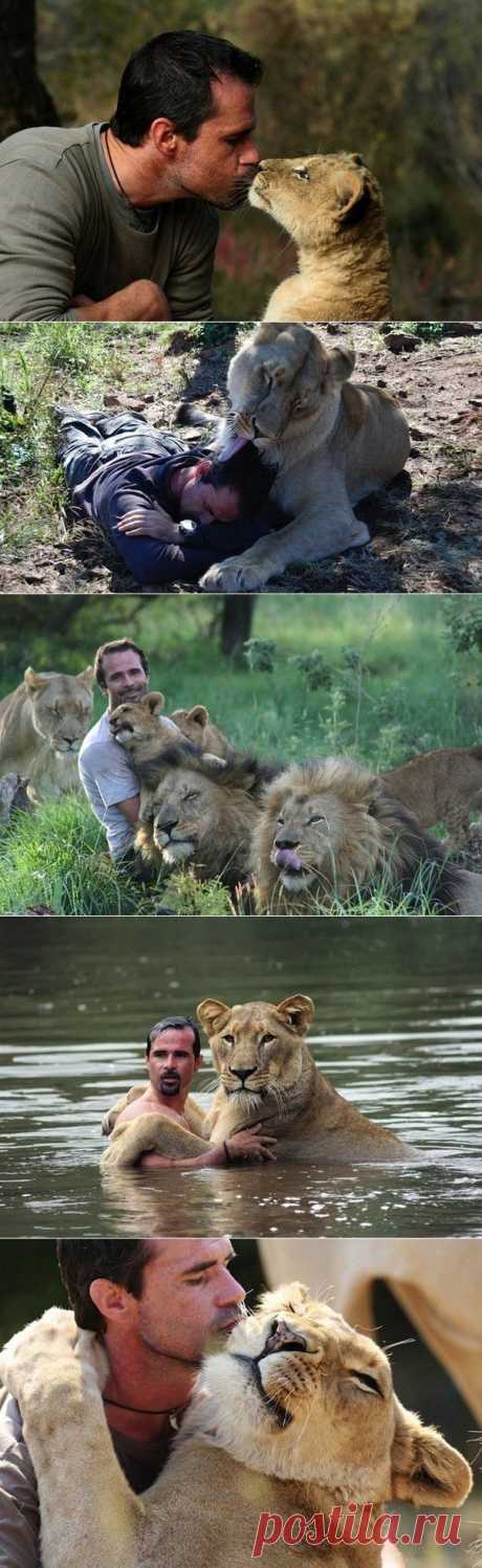 Дружба человека со львами

Зоолог Кевин Ричардсон (Kevin Richardson), известный как «Заклинатель Львов», наладил уникальные отношения с крупными хищниками. Он не боится львов, а они отвечают ему лаской и любовью.