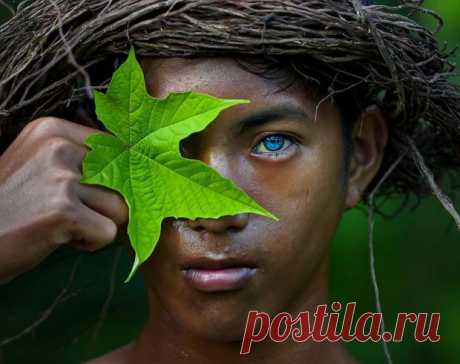 Самые голубые глаза в мире: жители индонезийского племени обладают уникальной внешностью