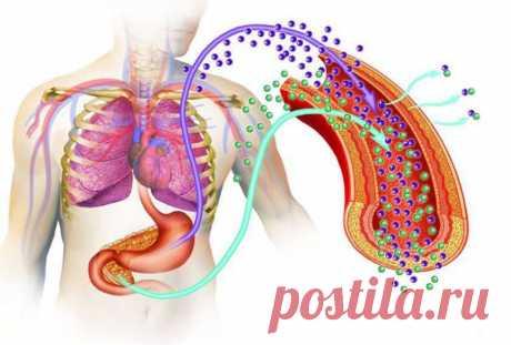 Как не допустить развитие диабета / Будьте здоровы