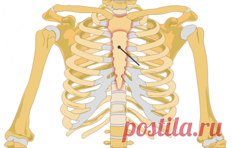 О чем сигналит боль за грудиной? | Med62.ru | Яндекс Дзен
