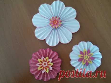 Fiori di carta scrapbooking tutorial - Paper flowers ornaments