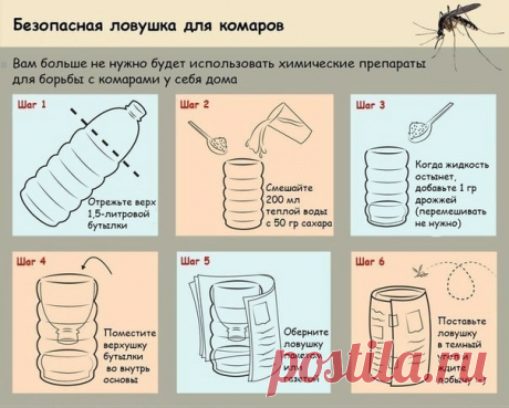 Безопасная ловушка для комаров — Полезные советы