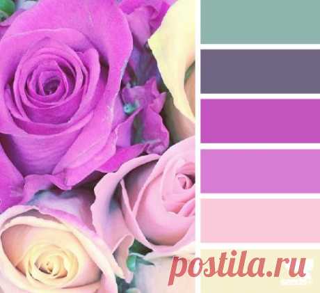 Design Seeds® | find your palette