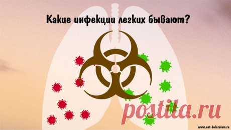 Инфекция легких: виды, причины, признаки и лечение болезни 

За газовый обмен в нашем организме отвечают легкие. Существуют различные угрозы по отношению к ним: паразиты, микроскопические грибы, бактерии и, конечно же, вирусы.

Инфекции на уровне легких часто характеризуются пневмонией (чаще всего пневмококковая).