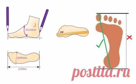 ​5 правил грамотной покупки обуви — Полезные советы