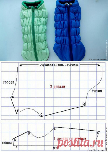 Шьем жилет для собаки