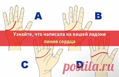 Узнайте, что написала на вашей ладони линия сердца Линия сердца проходит поперек ладони, под указательным и средним пальцем, и доходит до края ладони под мизинцем. Сравните линию сердца на вашей правой руке с теми, что представлены на рисунке.