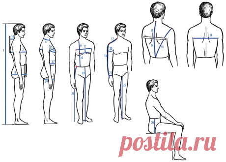 Снятие измерений с мужской фигуры