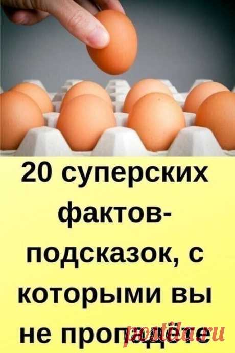 20 суперских фактов-подсказок, с которыми вы не пропадёте 

Люди копят такой опыт годами и передают по наследству — а вам он достанется бесплатно и за 5 минут, потому что мы собрали для вас лучшие короткие лайфхаки в рунете!