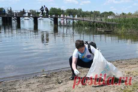 Забота о мире. В регионах России началась неделя экологических знаний. В России отмечают Международный день экологических знаний