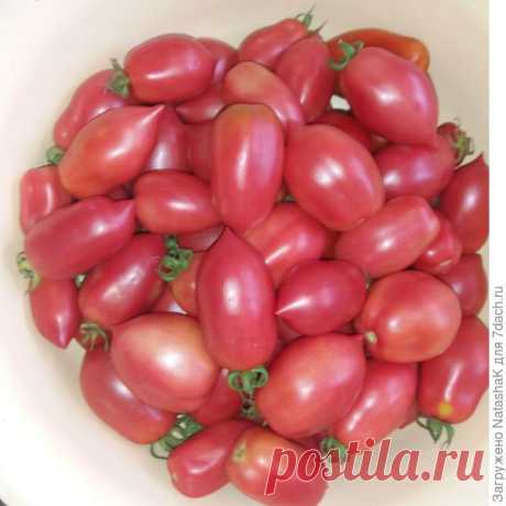 Сладкие и ароматные маринованные помидорки - всегда к столу - пошаговый рецепт приготовления с фото