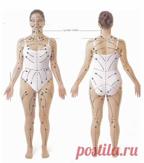 Эта процедура стимулирует лимфатическую систему, улучшает пищеварение и функцию почек Многие люди, как правило, тщательно ухаживают за кожей лица, регулярно делая пилинг, чистку и увлажнение. Но когда в последний раз вы заботились о коже на остальных частях вашего тела?Ваша кожа – ваш ...