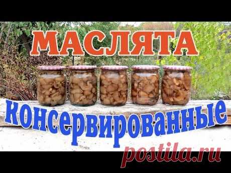 Маслята консервированные. Заготовка на зиму. - YouTube