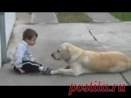 Little Boy w Down's Syndrome & His Dog - Unconditional Love of Man's Best Friend