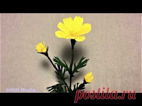 How to make beautiful cosmos paper flower | diy origami cosmos crepe paper flower making tutorials