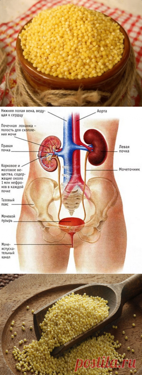 ЭТО СРЕДСТВО ОЧИЩАЕТ ПОЧКИ И НОРМАЛИЗУЕТ ВЫСОКОЕ ДАВЛЕНИЕ!