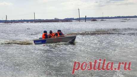 Принудительную эвакуацию объявили в одном из округов Курганской области. Глава Звериноголовского муниципального округа Курганской области Марина Панкратова заявила, что в округе объявлена принудительная эвакуация из-за угрозы затопления жилых домов. Об этом она сообщила в своем Telegram-канале. Она ...