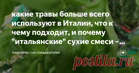 какие травы больше всего используют в Италии, что к чему подходит, и почему "итальянские" сухие смеси – гадость Сегодня хочу рассказать, какие ароматные травы чаще всего используются в итальянской кухне, с какими продуктами и блюдами они идеально сочетаются, и почему готовые смеси сушёных трав – враг хорошей кухни.