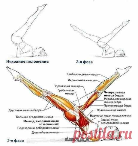 Упражнения для красивой фигуры | Записи в рубрике Упражнения для красивой фигуры | Блог полезных советов от Тани Кононенко (: