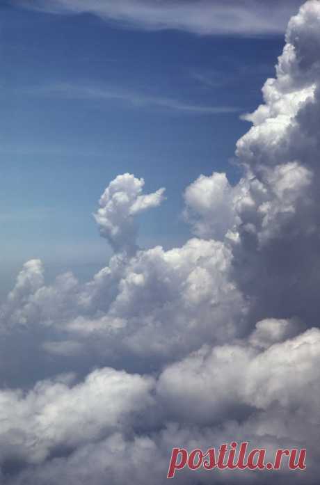 clouds_sky_073.jpg (Изображение JPEG, 1920 × 2908 пикселов) - Масштабированное (25%)