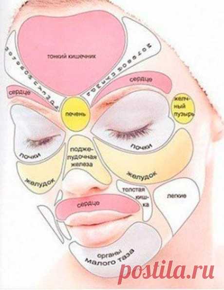 Краткое толкование заболеваний, которые можно определить по коже лица: | Женский журнал