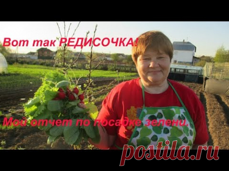 Вот так РЕДИСКА!!! Хитрый способ дал свой урожай.