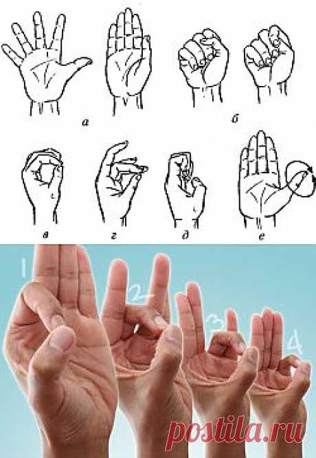 10 упражнений для пальцев рук при артрозе, артрите. .