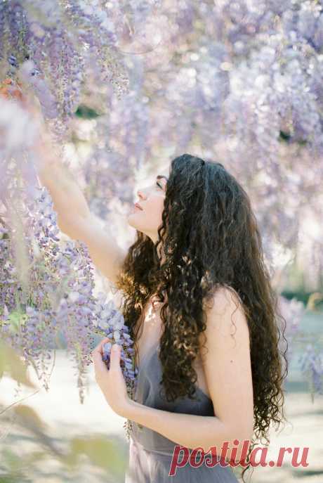 for the love of wisteria – Sonya Khegay Photography
