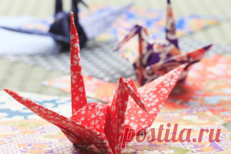 Как сделать журавлика из бумаги: 8 лучших схем оригами, идеи и пошаговые инструкции (фото + видео) Журавлик из бумаги – символ счастья, удачи, веры и борьбы за будущее. Сейчас разберемся, как сделать заветную фигурку оригами своими руками!