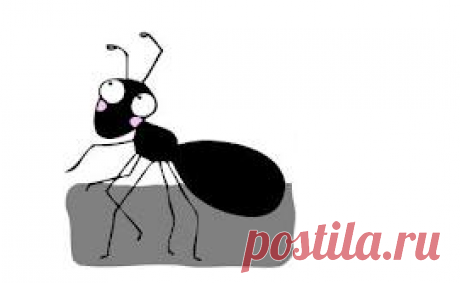Как избавится от муравьев на приусадебном участке | Сад и огород | Самоделки