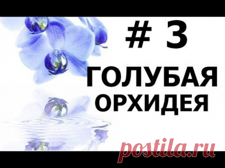 Бисероплетение (Голубая Орхидея 3 ч.) Мастер-класс