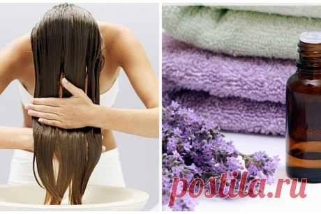 5 домашних средств от выпадения волос: просто и эффективно! - Домашний очаг