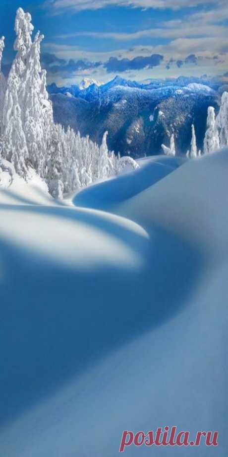 Mt Seymour Provincial Park ~ Vancouver, BC Canada by Kevin…  Flickr   |  Pinterest • Всемирный каталог идей