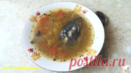 Для Вас мой домашний рецепт приготовления рыбного супа из красной рыбы. Варим из голов, хвоста кеты с картошкой и манной крупой. Очень вкусный суп.