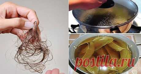 Остановить выпадение волос помогут эти 2 ингредиента! Густые, красивые и здоровые волосы за копейки! | Простые советы