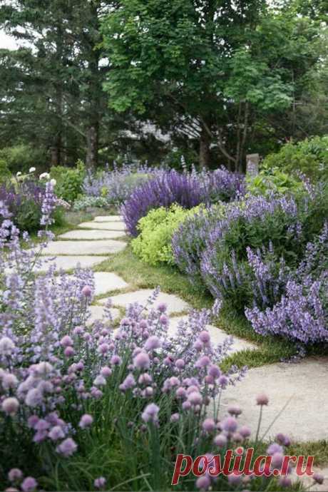 20 Ways to Landscape With Shrubs