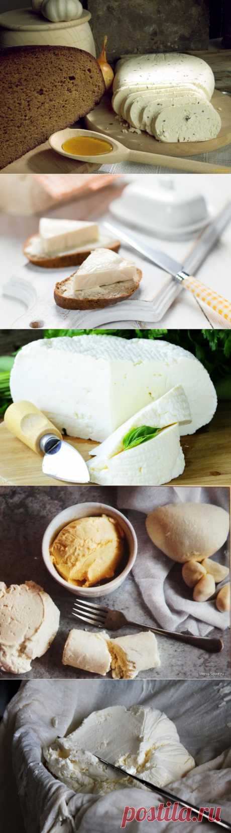 13 вкуснейших сыров, которые вы можете приготовить дома