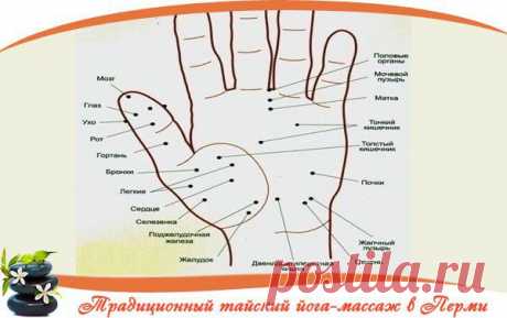 ☀ Волшебные точки на теле человека. Будьте всегда в форме 
==================================

Точка активации силы. Если собрать вместе кончики всех пальцев, она будет находиться в ямке в центре ладони. Если вы чувствуете вялость, упадок сил, апатию, сонливость, массируйте эту точку.