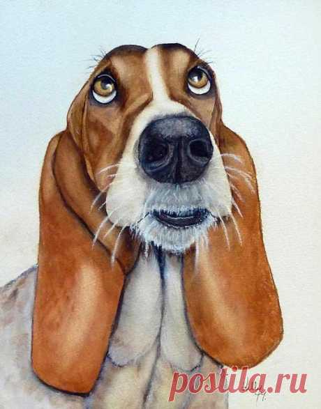 Hound Dog Eyes by Kelly Mills  Hound Dog Eyes Painting by Kelly Mills