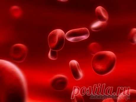 Как почистить кровь в домашних условиях