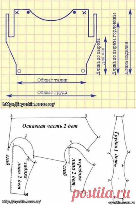 Выкройки одежды для собак - Форум НАШИ ЙОРКИ И ИХ ДРУЗЬЯ