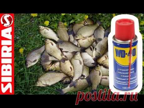 Манка с WD-40. Секретный рецепт приготовления Манки для рыбалки. Супер насадка