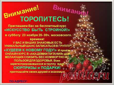 Чтобы себя подготовить к встрече Нового года и выглядеть на все 100%, надо приложить чуть-чуть усилий и ваша мечта быть стройной исполнится.