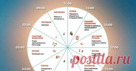 Если вы просыпаетесь по ночам в это время, то у вас могут быть проблемы. Это серьезно! Почему вы плохо спите? Узнайте ответ по этим часам