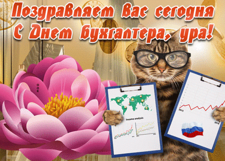 Прикольная открытка День бухгалтера в России | Открытки Онлайн