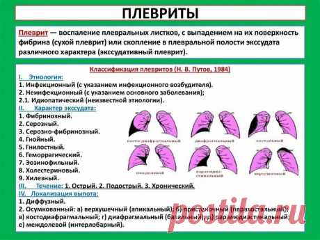 жидкость в плевре легких причины и лечение: 2 тыс изображений найдено в Яндекс Картинках