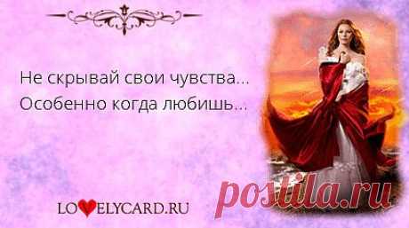 Не скрывай свои чувства... Особенно когда любишь... 
Картинка про любовь №372 с сайта lovelycard.ru