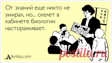 Российские ученые оживили древних животных, которым 24 тысячи лет | Популярная наука | Дзен