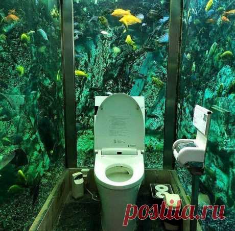 Японское кафе прославилось на весь мир туалетом в аквариуме